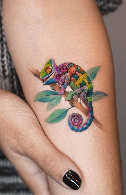 Color chameleon tattoo on forearm for women