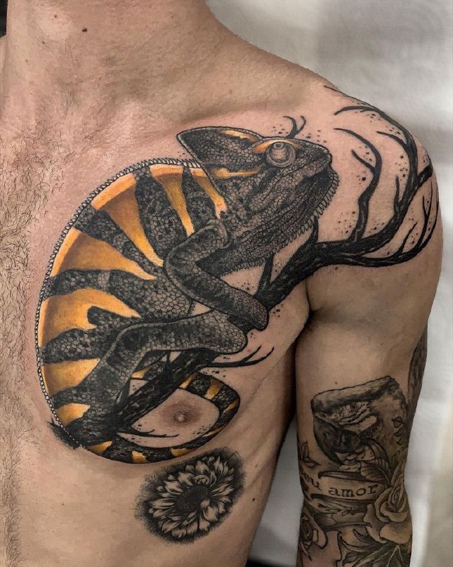 Tattoo of a colored chameleon on the chest for men