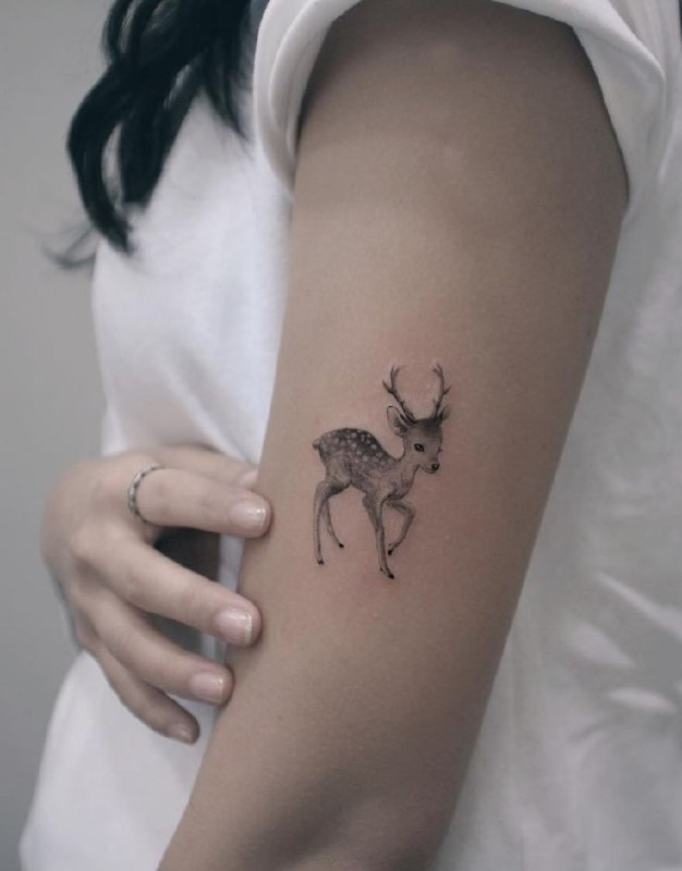 Tattoo of a small deer on the shoulder for women