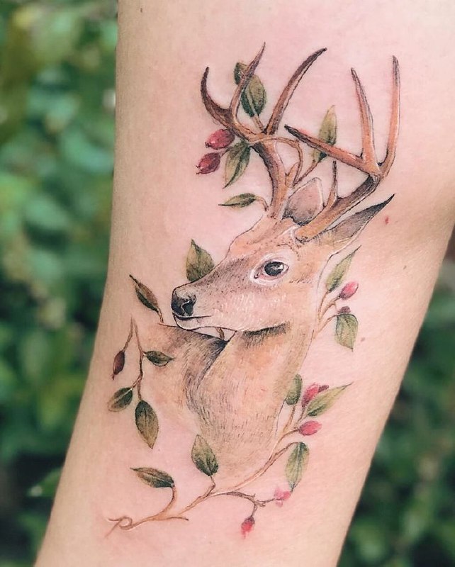 Color deer tattoo on the shin for women