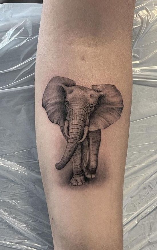 Elephant tattoo on the forearm for women