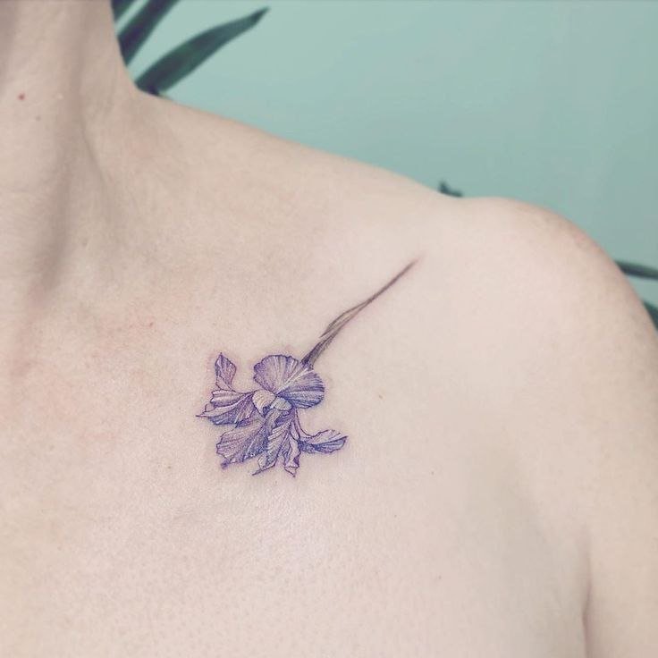 Iris tattoo on the collarbone for women