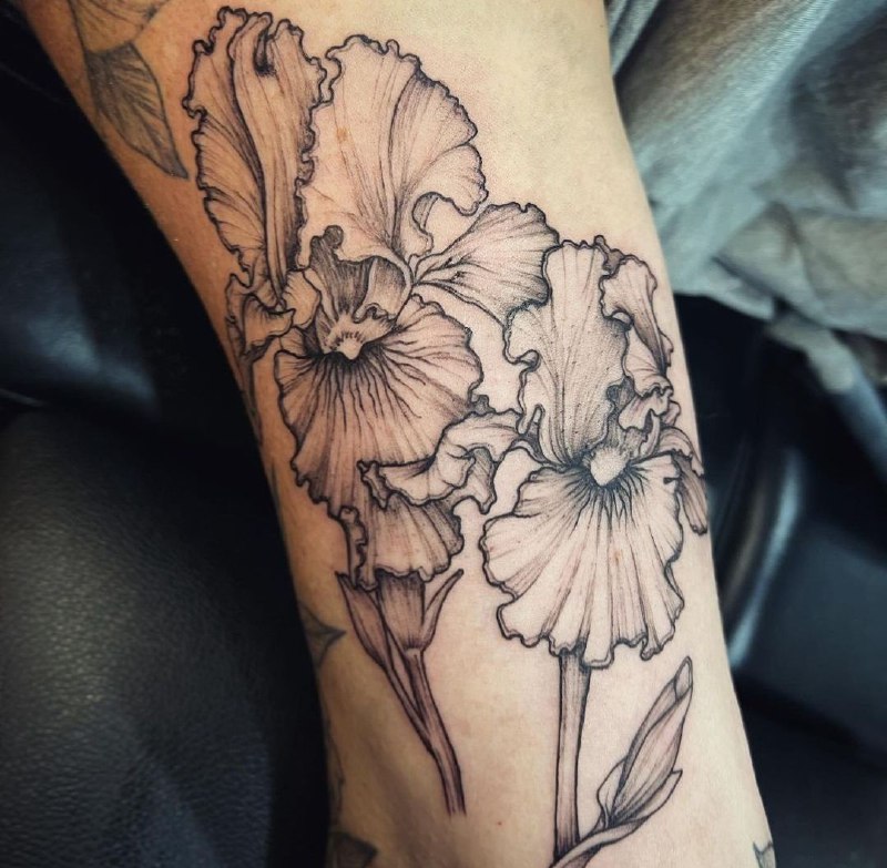 Iris tattoo on the arm for men