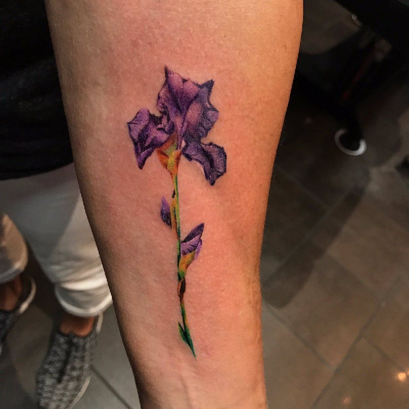 Color iris tattoo on the forearm for men