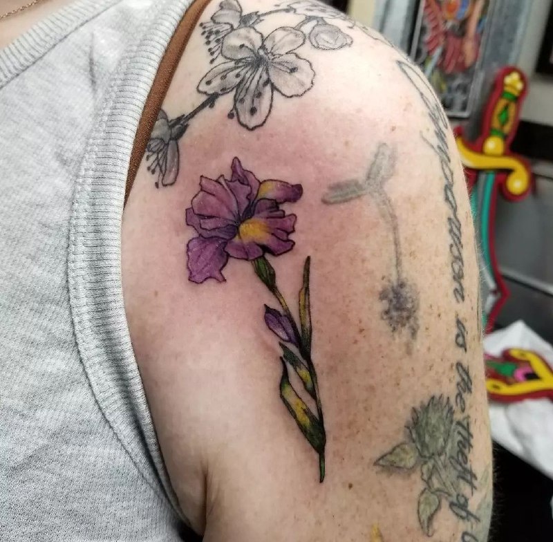 Color iris tattoo on the shoulder for men