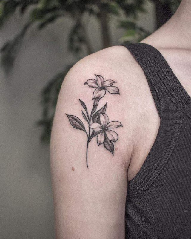 Jasmine tattoo on the shoulder for women