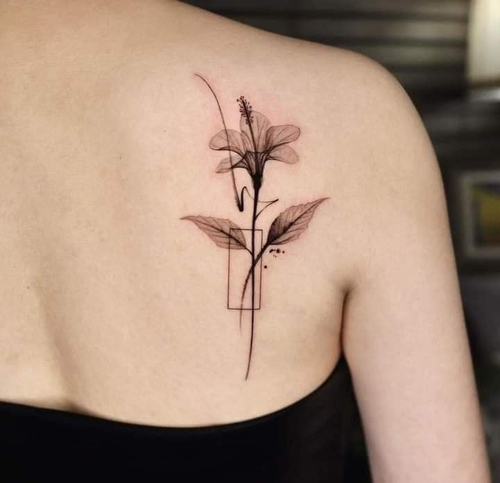 Lily tattoo on the shoulder blade for women