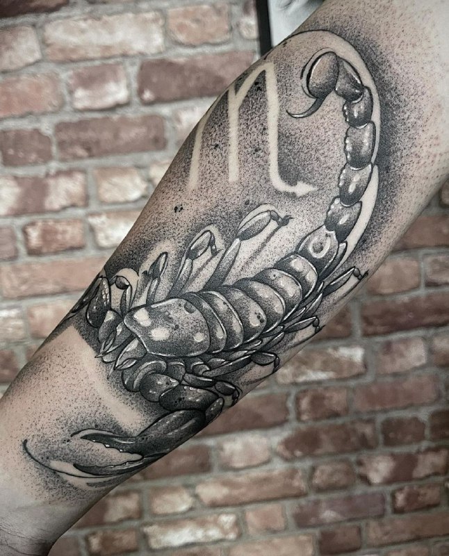 Tattoo of a scorpion on the forearm for women