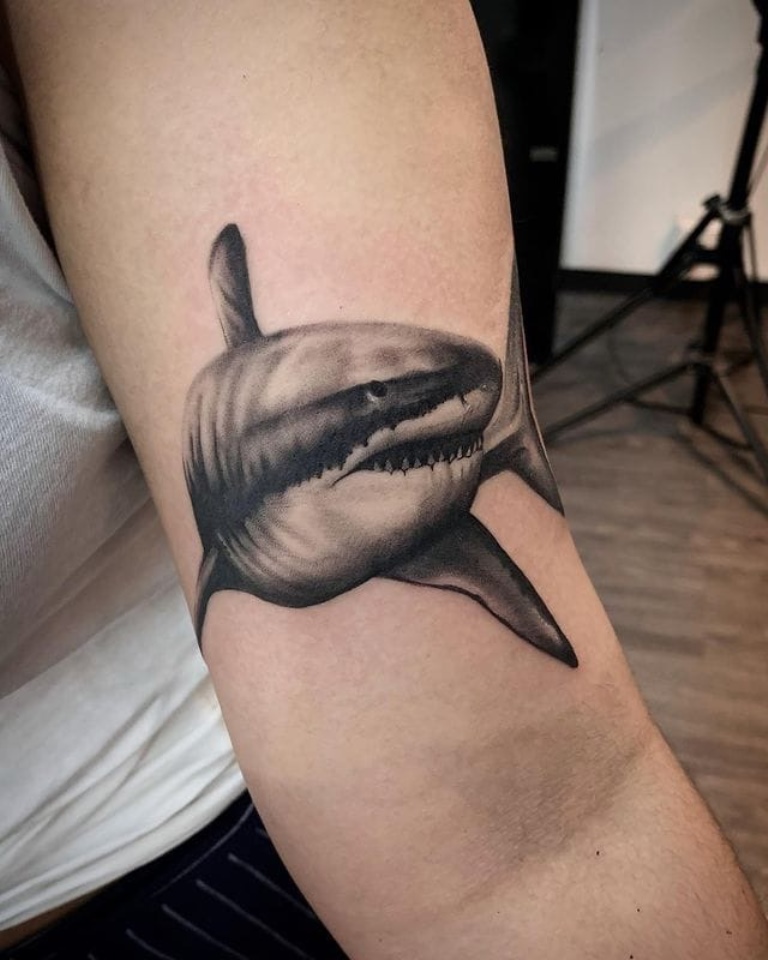 Shark tattoo on the shoulder for women