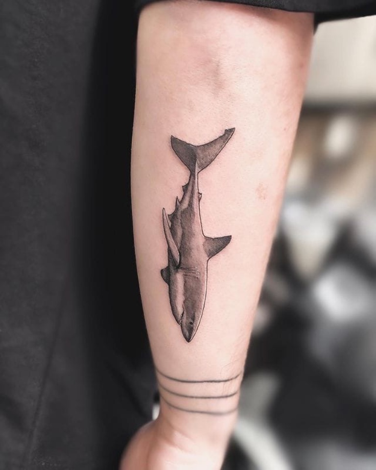 Shark tattoo on forearm for men