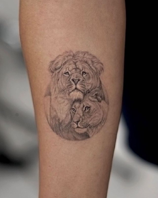 Tattoo of two lions on the forearm for men