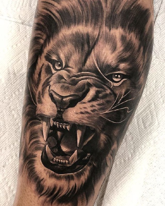 Tattoo of a lion on the forearm for men