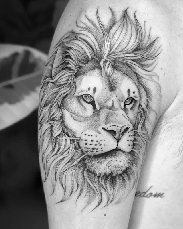 Tattoo of a lion on the shoulder for men