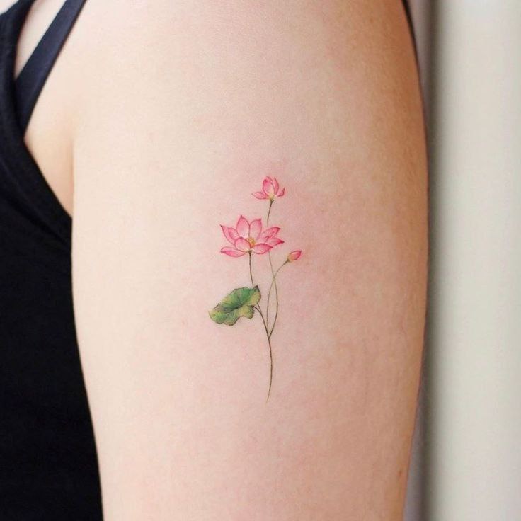 Colorful lotus tattoo on the shoulder for women