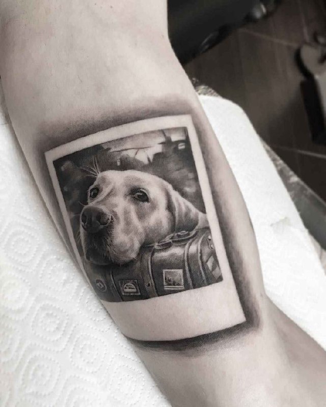 Tattoo of a dog on the shin for men