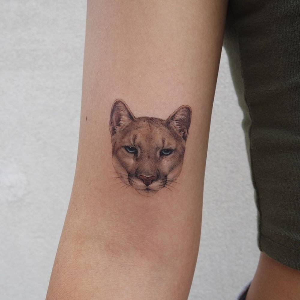 Puma tattoo on the shoulder for women