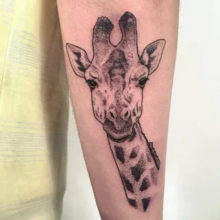 Tattoo of a giraffe on the forearm for men