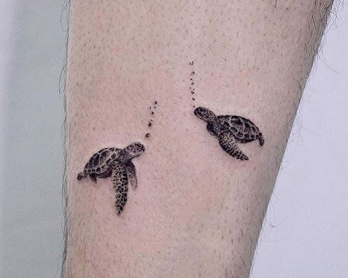 Tattoo of two turtles on the shin for men