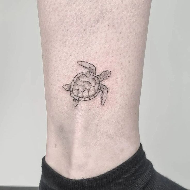 Turtle tattoo on the shin for men