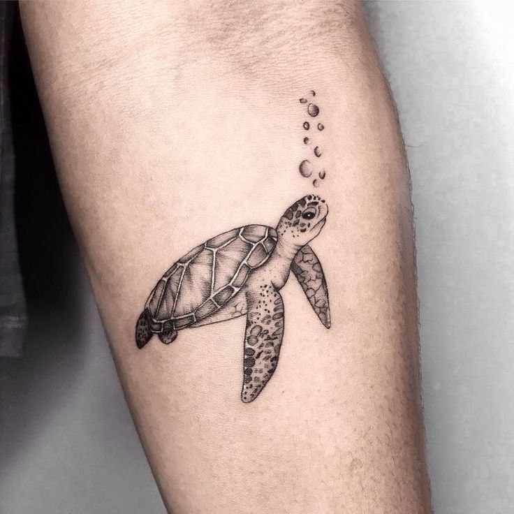 Turtle tattoo on the forearm for men