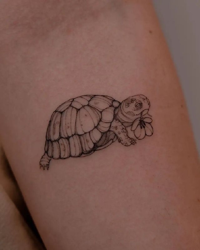 Turtle tattoo on the forearm for women