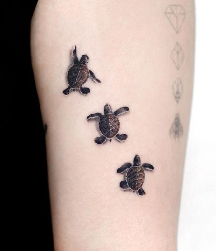 Tattoo of three turtles on the shoulder for men