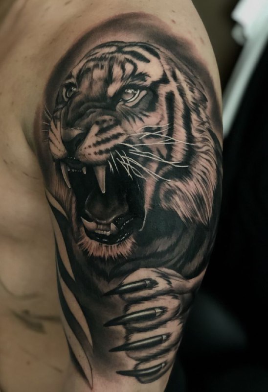 Tattoo of a tiger on the shoulder for men