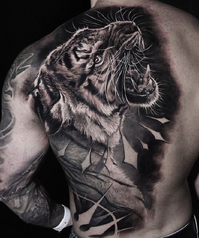 Tattoo of a tiger on the back for men