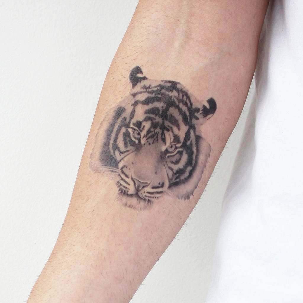 Tattoo of a tiger on the forearm for men