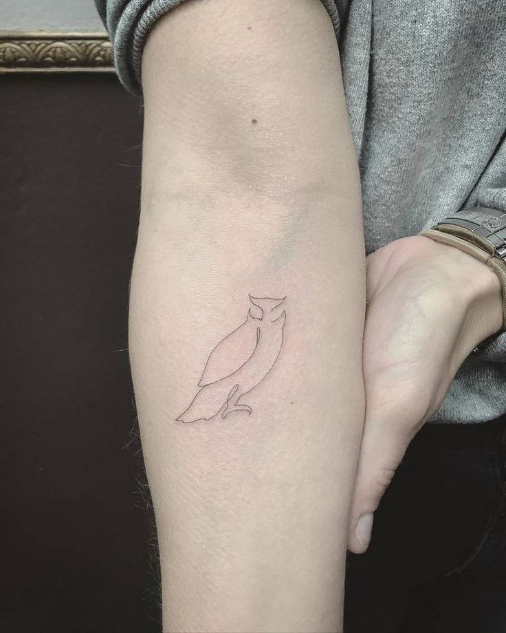 Tattoo of an owl on the arm for men