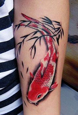 Color carp tattoo on forearm for men