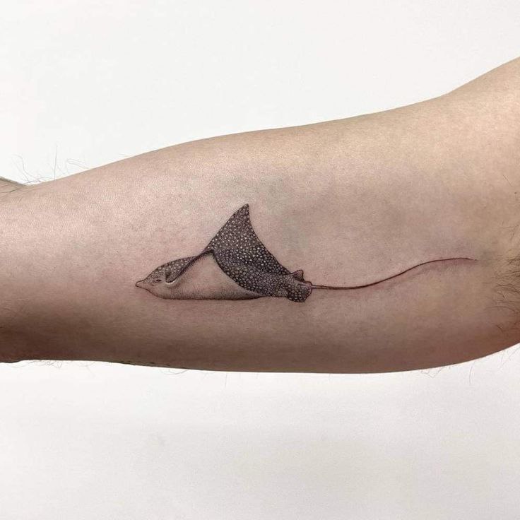 A stingray tattoo on the forearm for women