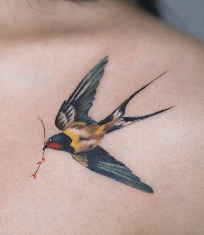 Large swallow tattoo on the collarbone for women