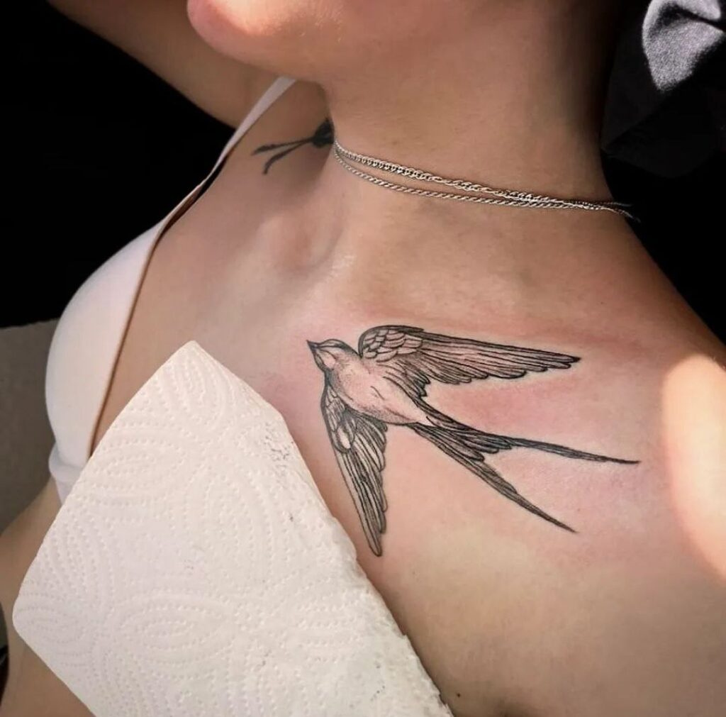 Large swallow tattoo on the collarbone for women