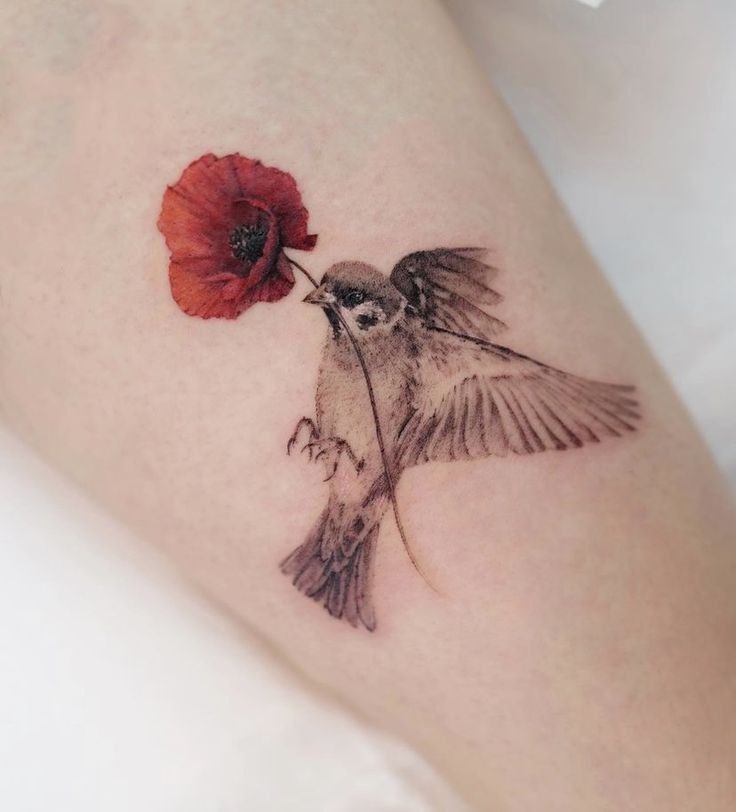 Colorful sparrow tattoo on the arm for women