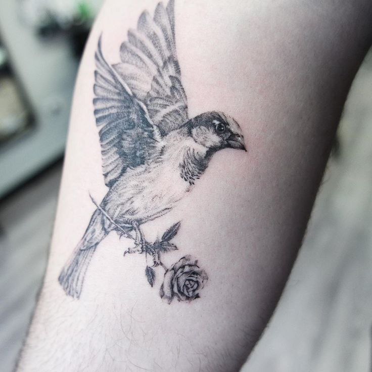 Large sparrow tattoo on the shin for women