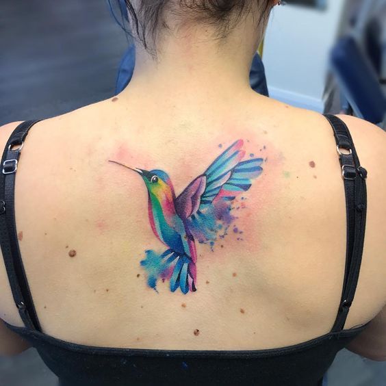 Colored hummingbird tattoo on the back for women