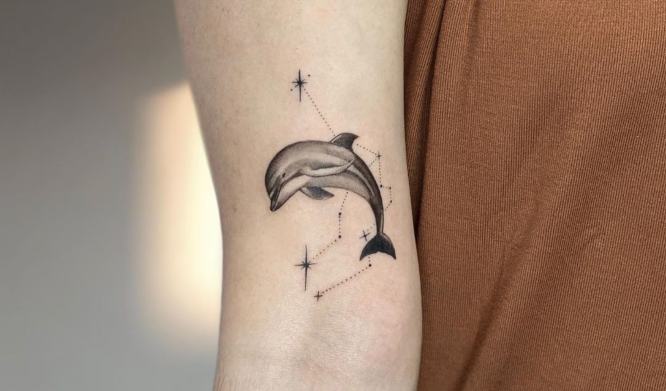 Tattoo of a dolphin on the arm for women