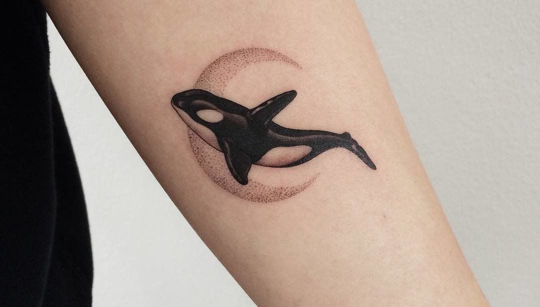 Tattoo of a dolphin on the arm for women