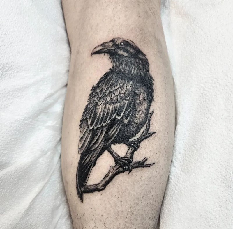 Large raven tattoo on the shin for men