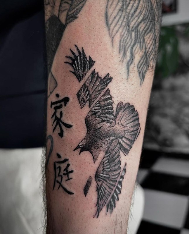 Tattoo of a raven on the shoulder for men