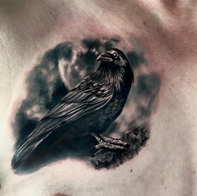 Tattoo of a raven on the chest for men