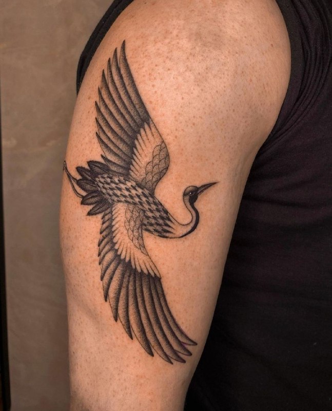 Large crane tattoo on the shoulder for men