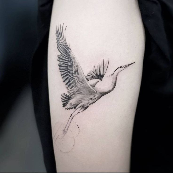 Crane tattoo on the shoulder for men