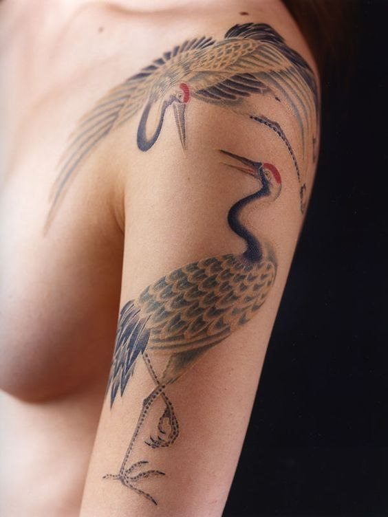 Color tattoo of two cranes on the arm for men