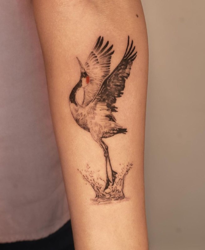 Large crane tattoo on the forearm for men