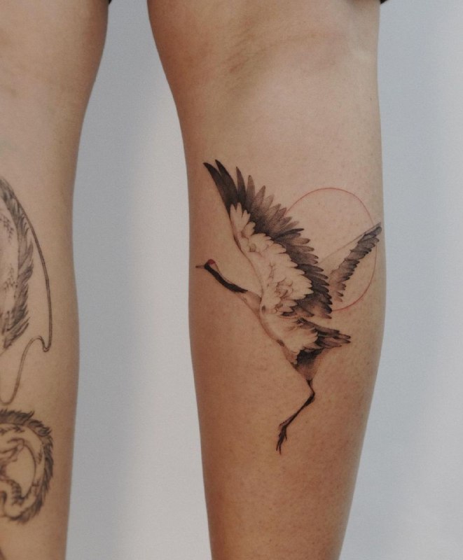 Large crane tattoo on the calf for women