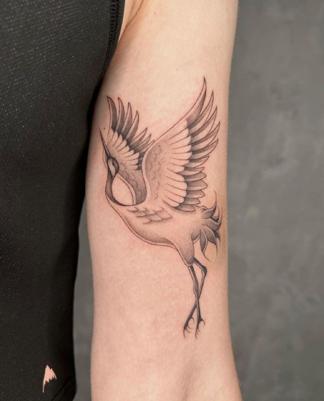 Crane tattoo on the shoulder for women