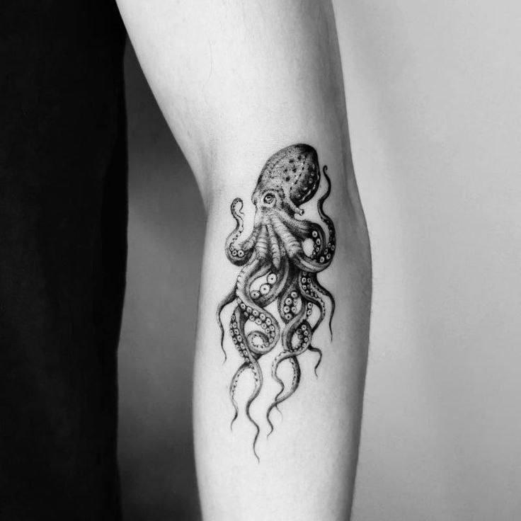 Tattoo of an octopus on the forearm for men