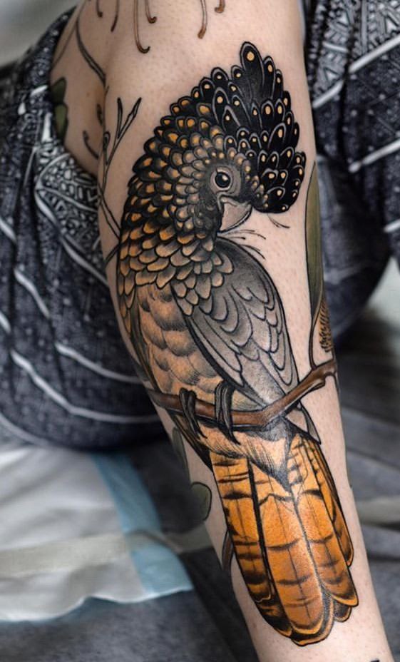 Colored parrot tattoo on the shin for women